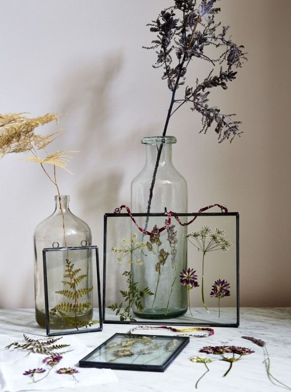 Pressed Flowers