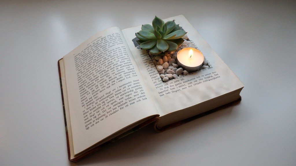 Vintage Book Planter