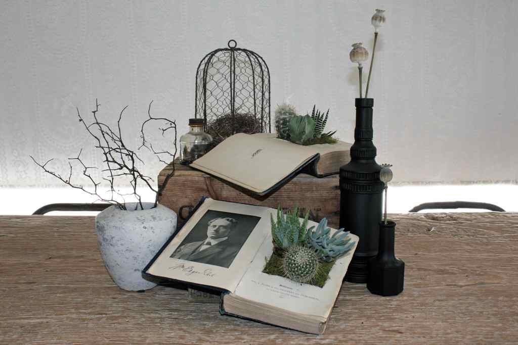 Old Book Into A Planter