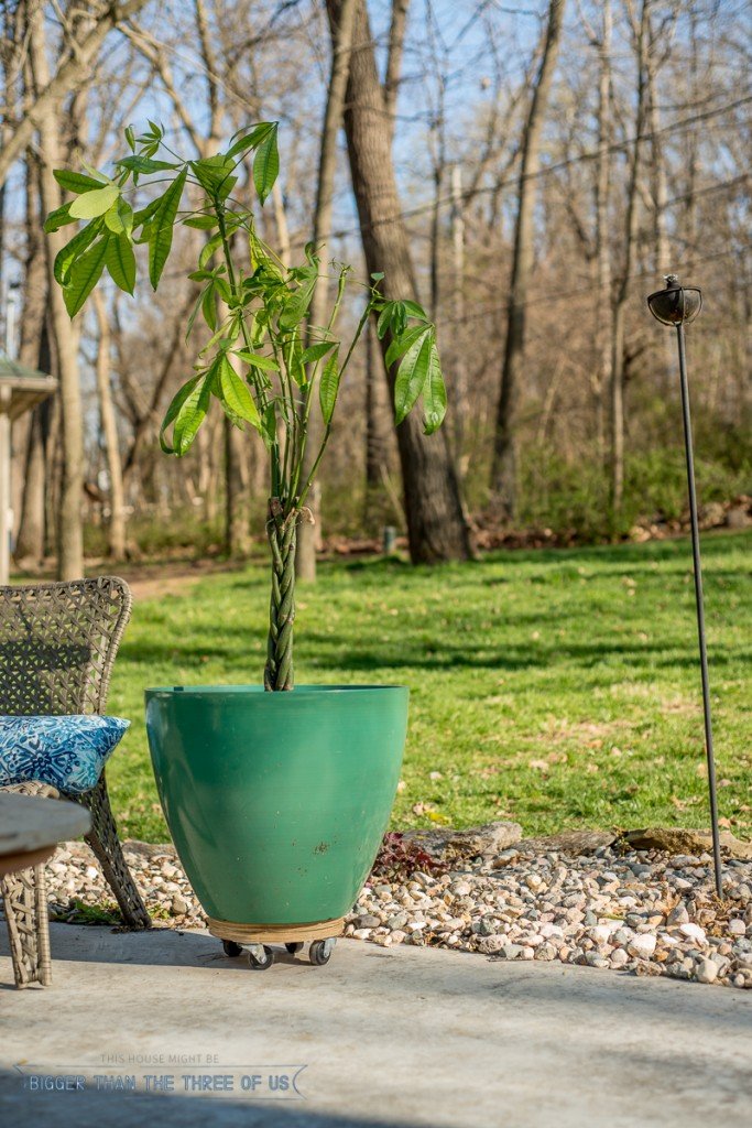 DIY Plywood Plant Stand On Wheels