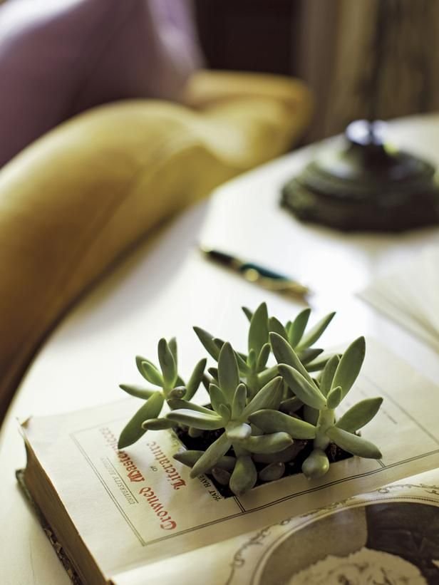 DIY Vintage Book Planter