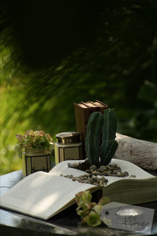 DIY Blickfang Book Planter