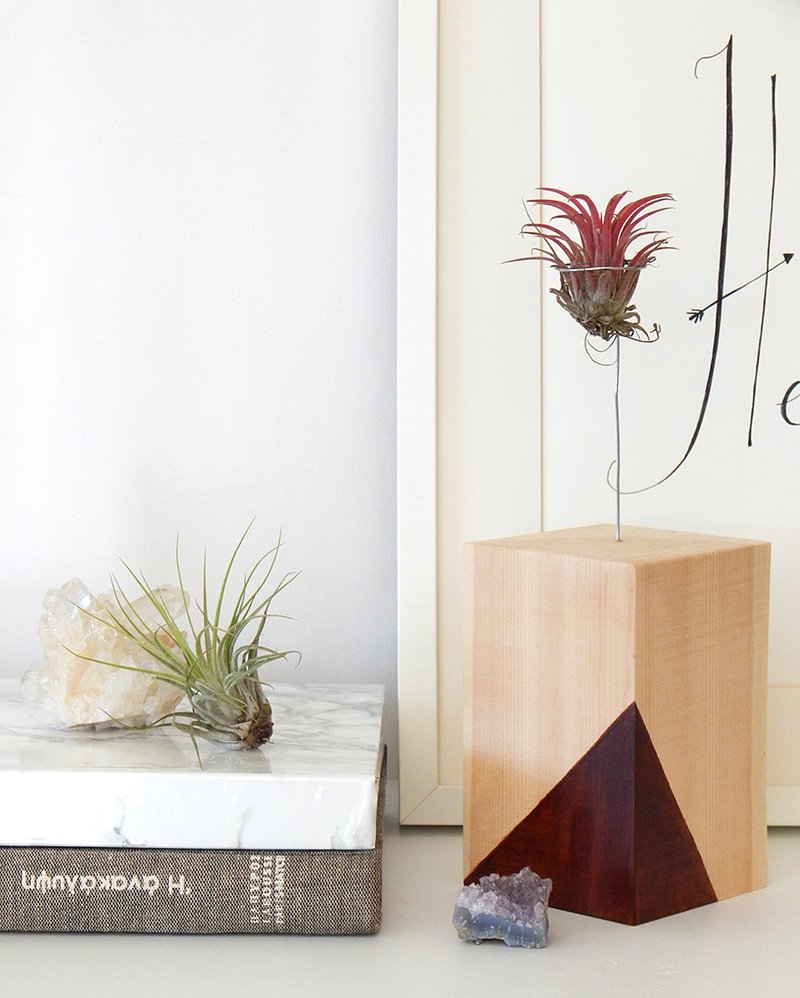 DIY Wooden Airplant Stand