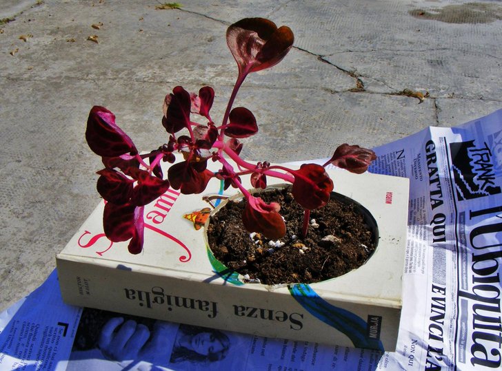 10 DIY Ideas To Turn An Old Book Into A Book Planter