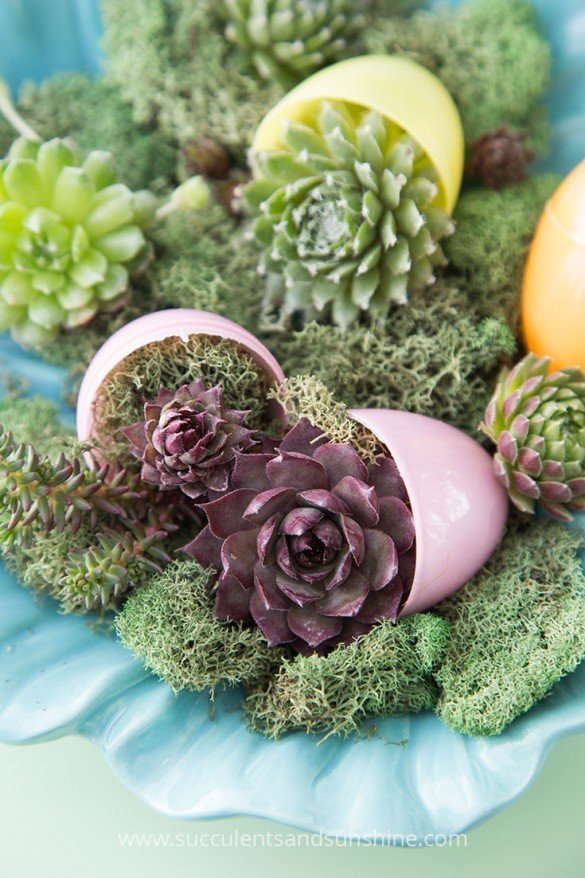 Succulent Easter Decor
