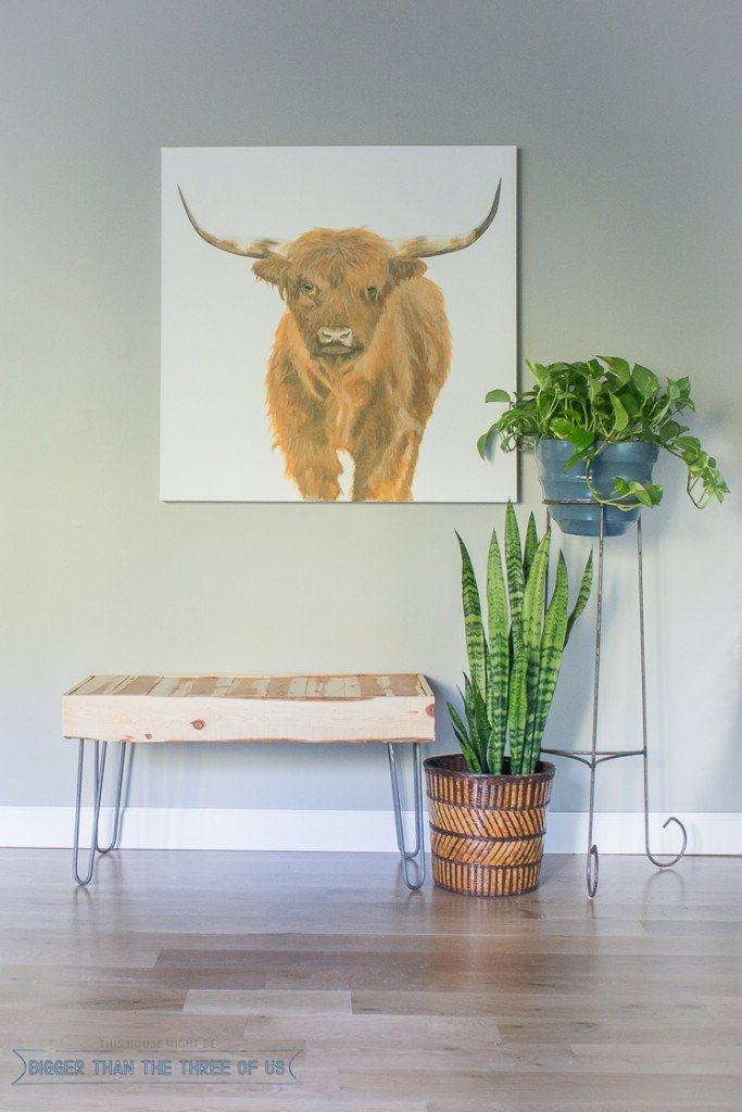 DIY Wood Bench With Hairpin Legs