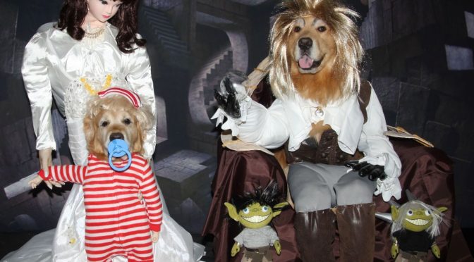 Labyrinth Halloween Costume For Dogs Tutorial