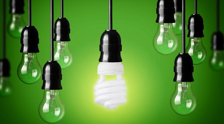 Go Green: How To Make Your Home Sustainable? - A DIY Projects