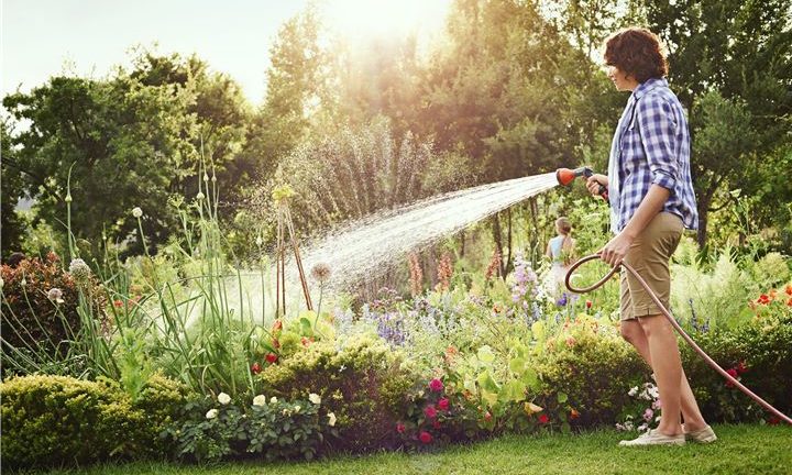 5 Garden Watering Products Every DIY Gardener Needs