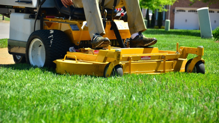 Lawn Maintenance Innovations You May Not Have Heard of Yet