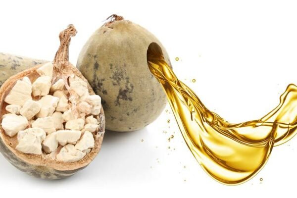 The Major Benefits of Baobab Oil