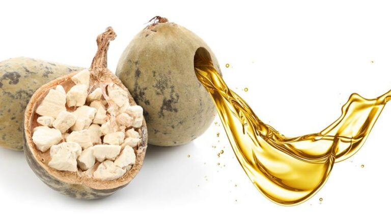 The Major Benefits of Baobab Oil