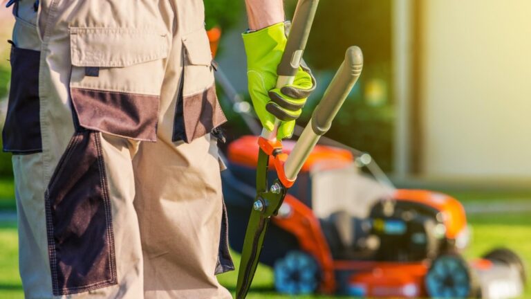 5 Inarguable Reasons to Hire a Professional Landscaper