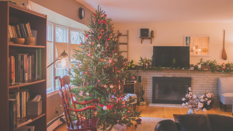 Preparing Your Trees for Christmas