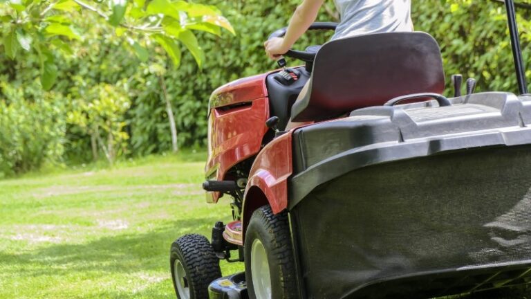 3 Tips for Summer Lawn Care That You Should Know