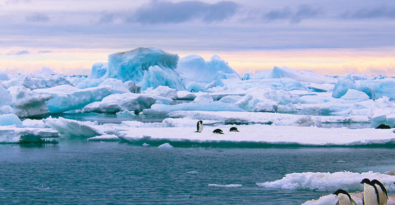 Three Cruises to Antarctica – Which One Would You Prefer
