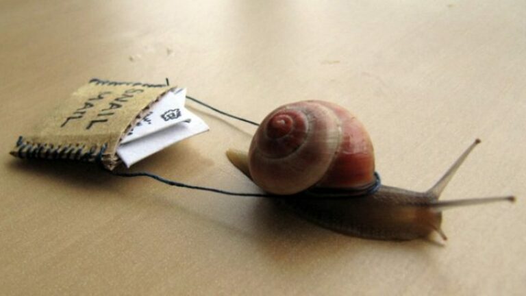 Reasons Why You Should Start Sending Your Clients Snail Mails
