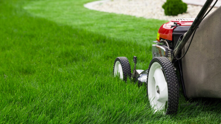 Common Lawn Care Mistakes Made by Homeowners