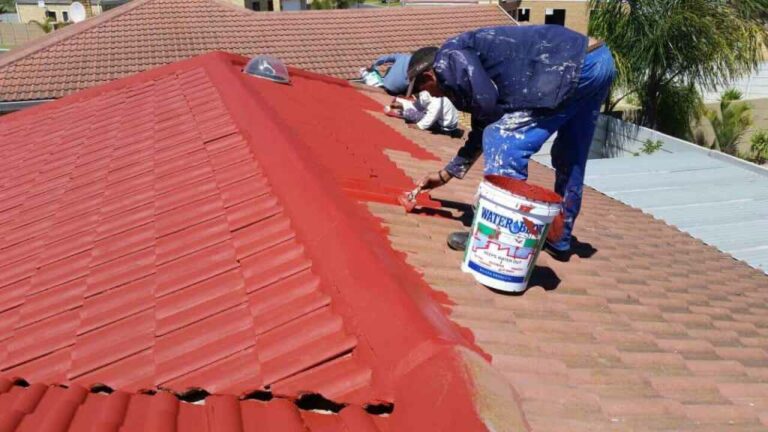 The Art and Science of Roof Painting