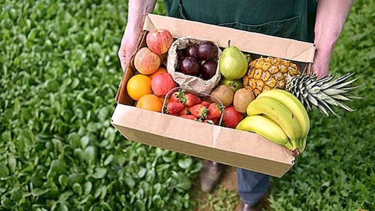 Why Consumers are Buying Fresh Cut Fruit for Delivery in Singapore