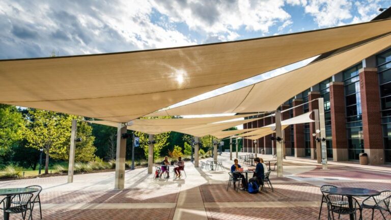 Ways in Which Commercial Shade Sail Structures Can Attract New Customers