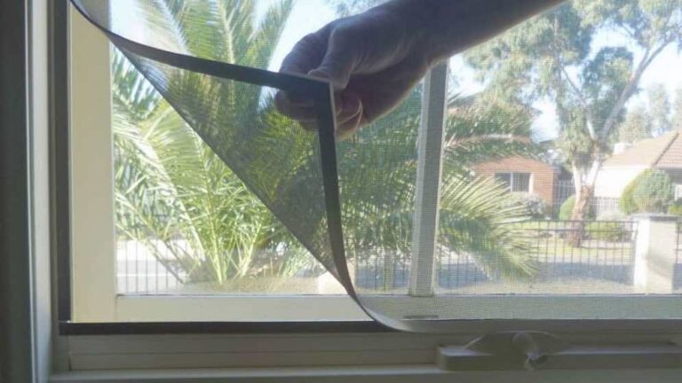 Why are Fly Screens a Must for Our Homes?