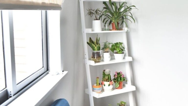 Brilliant Wall Shelf Ideas that Make Storage Look Stylish