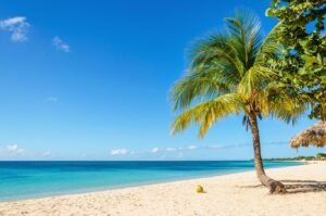 6 Festivals You Shouldn’t Miss if You’re in the Caribbean