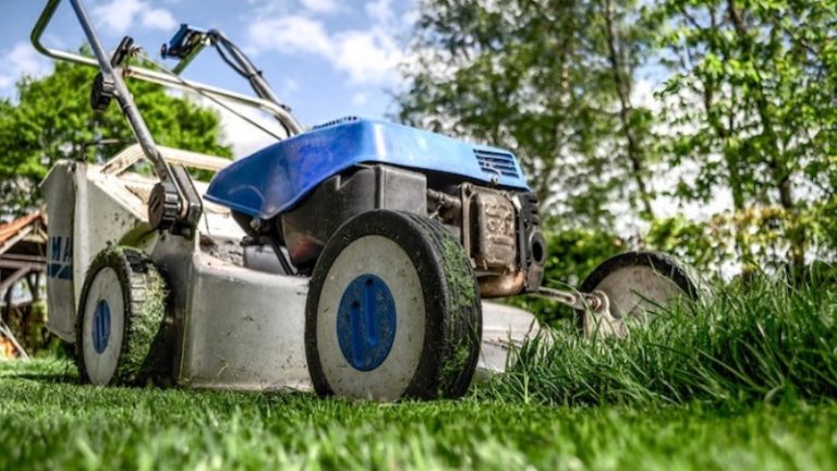 How to Keep Your Lawn in Minneapolis Healthy and Happy This Spring