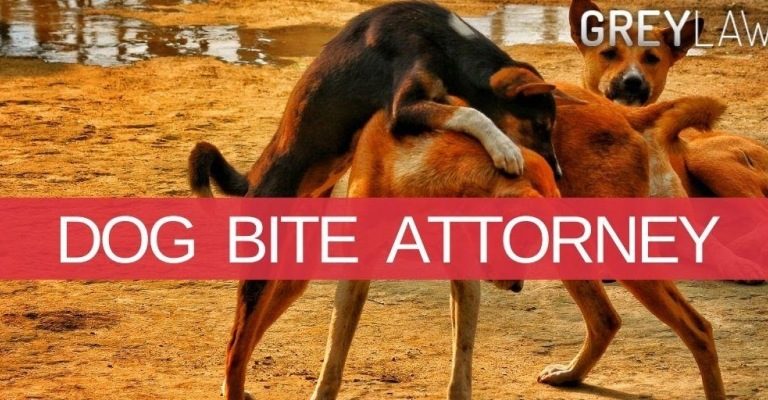 Los Angeles Dog Bite Attorney Can Help You Get The Right Compensation