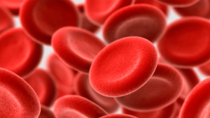 Why Is Bloodborne Pathogens Training Important For Employees In Certain Job Sectors?