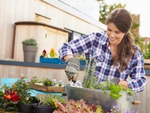 How to Make Your Garden Easy to Maintain
