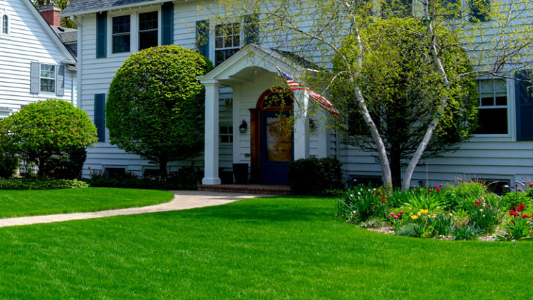 8 Tips on How to Apply Grub Control Products on Your Lawn