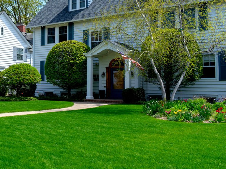 8 Tips on How to Apply Grub Control Products on Your Lawn A DIY Projects