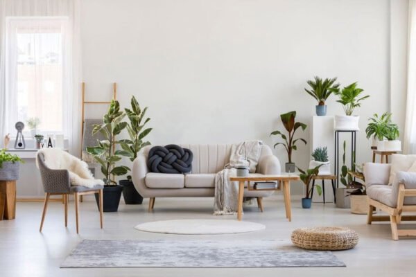 Top Tips to Make Your Show Home Living Area Warmer and More Inviting